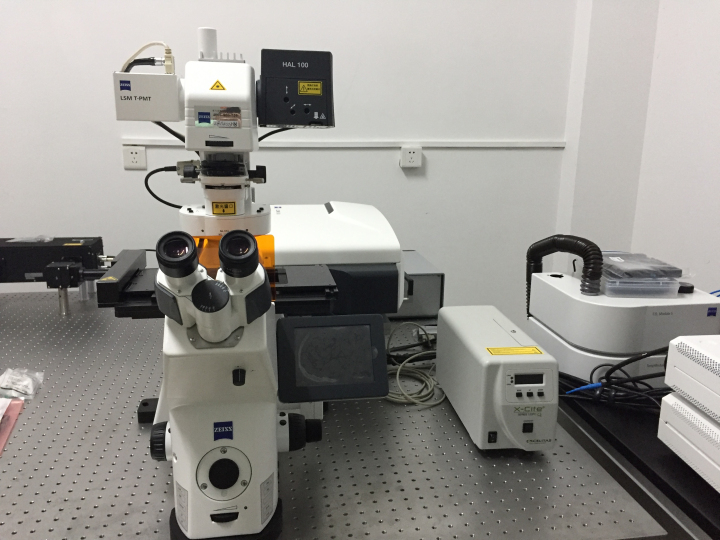 Two-photo confocal microscope 